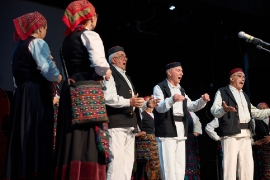 Devet suza za Zlatka Bočkala, 2026._28