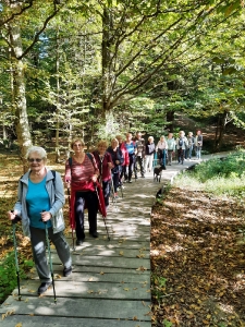 Europski tjedan sporta, 2021.