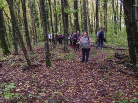 Izlet, Daruvarske toplice