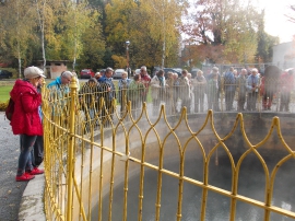 Izlet, Daruvarske toplice