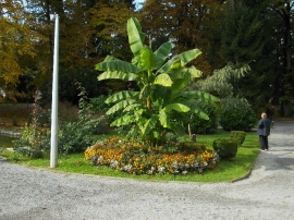 Izlet, Daruvarske toplice