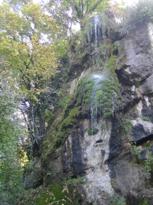 Izlet, Daruvarske toplice