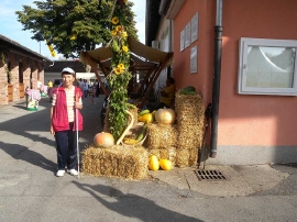 Izlet, Voloder 2019.
