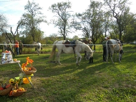 Izlet, Voloder 2019.