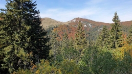 Izlet, Zavižan, 2021.