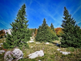 Izlet, Zavižan, 2021.