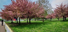 Kul-turiranje 2