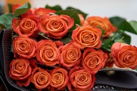 Nacionalni dani invalida rada 2026._23