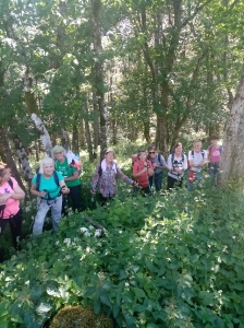 Planinari, lipanj 2022.