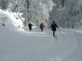 Planinarski izlet - siječanj