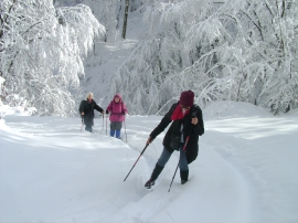Planinarski izlet - siječanj