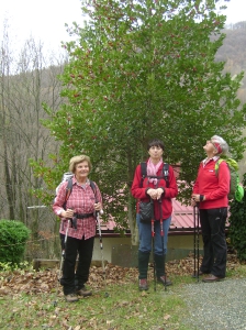 Planinarski izlet - studeni