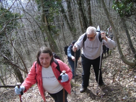 Planinarski izlet - veljača