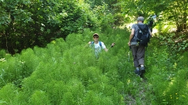 Planinarski izlet, lipanj 2019.