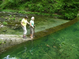 Planinarski izlet, lipanj