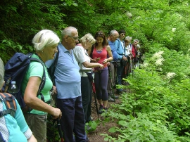 Planinarski izlet, lipanj