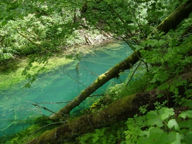 Planinarski izlet, lipanj