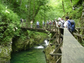 Planinarski izlet, lipanj