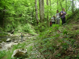 Planinarski izlet, lipanj