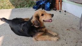 Planinarski izlet, listopad 2018.