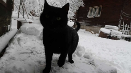 Planinarski izlet, prosinac