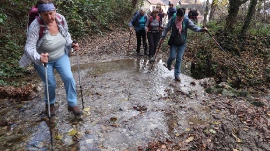 Planinarski izlet, studeni