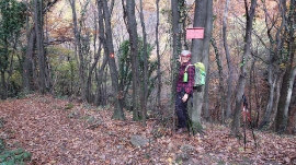 Planinarski izlet, studeni