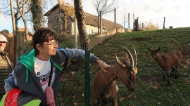 Planinarski izlet, studeni