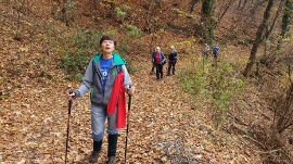 Planinarski izlet, studeni 2019.