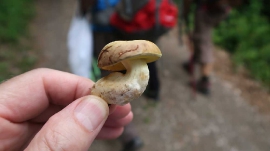 Planinarski izlet, svibanj 2018.