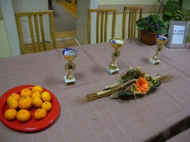 Šahovski turnir, UIR Grada Karlovca