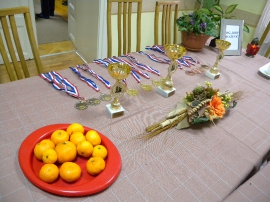 Šahovski turnir, UIR Grada Karlovca