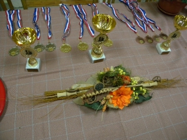 Šahovski turnir, UIR Grada Karlovca