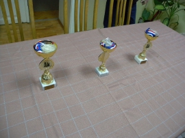 Šahovski turnir, UIR Grada Karlovca