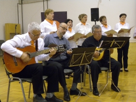 Suradnja, Koncert prijateljstva 