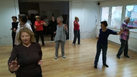 Tai Chi - Wushu Elixir