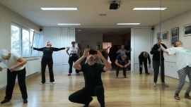 Tai Chi - Wushu Elixir