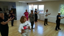 Tai Chi - Wushu Elixir