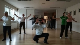 Tai Chi - Wushu Elixir