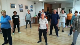 Tai Chi - Wushu Elixir